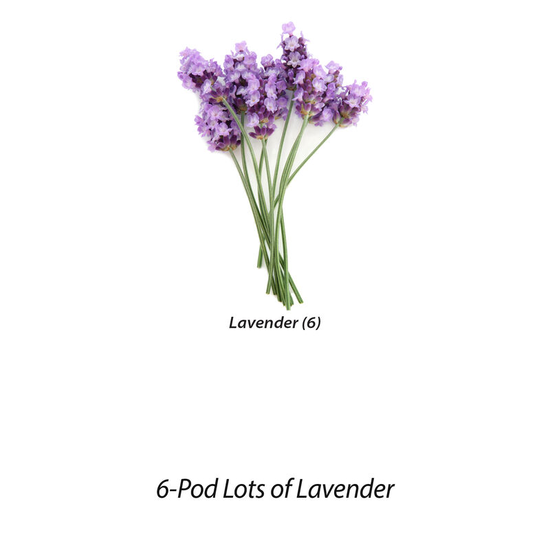 Lots of Lavender Seed Pod Kit image number null